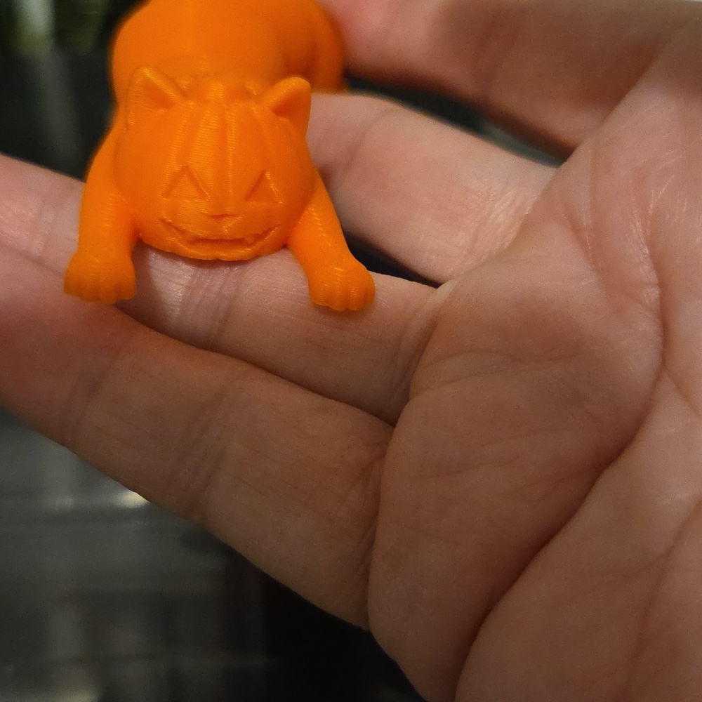 Slinky 3-D CAT with Jack-o'lantern Face